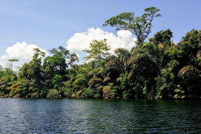 mangrove-gandoca-lagoon