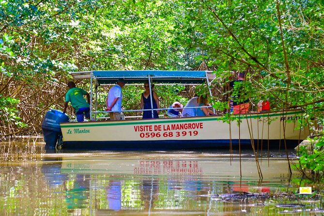 mangrove-guided-tour