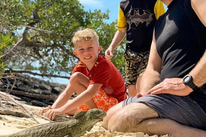 mangrove-iguana-tour