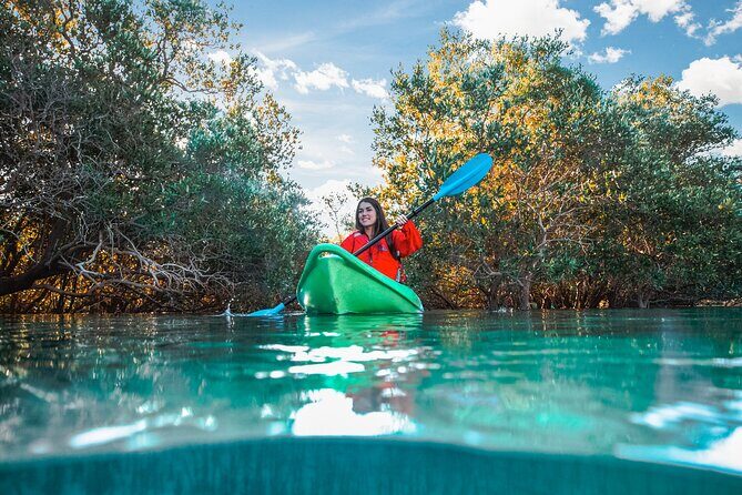 Mangrove Kayaking Abu Dhabi - The Itinerary: What to Expect During Your Kayaking Adventure