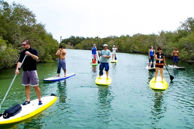 Mangrove Kayaking Abu Dhabi - Final Thoughts: Is This Tour Worth It?