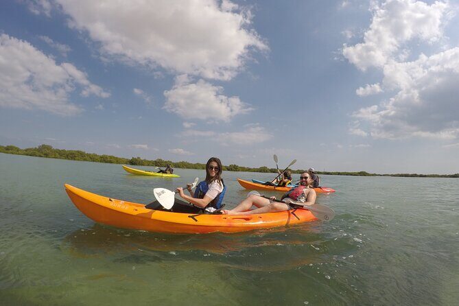 Mangrove Kayaking Purple Island Adventure - The Value of This Tour