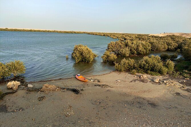 Mangrove Kayaking Purple Island Adventure - Authentic Experiences and Genuine Insights
