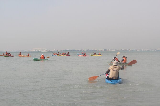 Mangrove Kayaking Purple Island Adventure - Who Will Love This Experience?