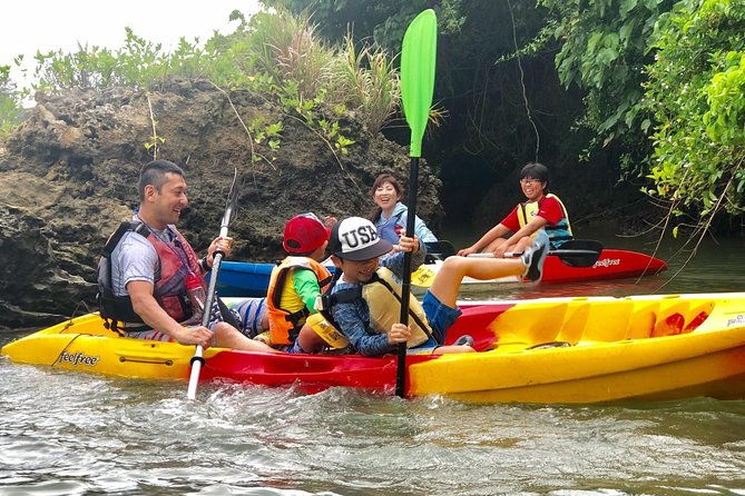 mangrove-kayaking-to-enjoy-nature-in-okinawa
