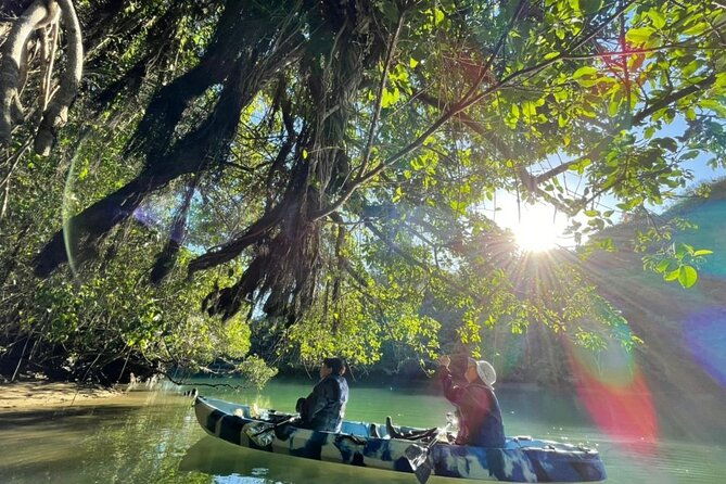 mangrove-kayaking-to-enjoy-nature-in-okinawa