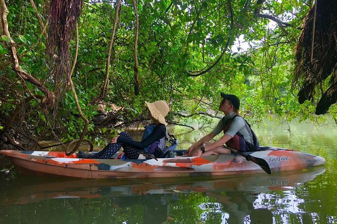 mangrove-kayaking-to-enjoy-nature-in-okinawa