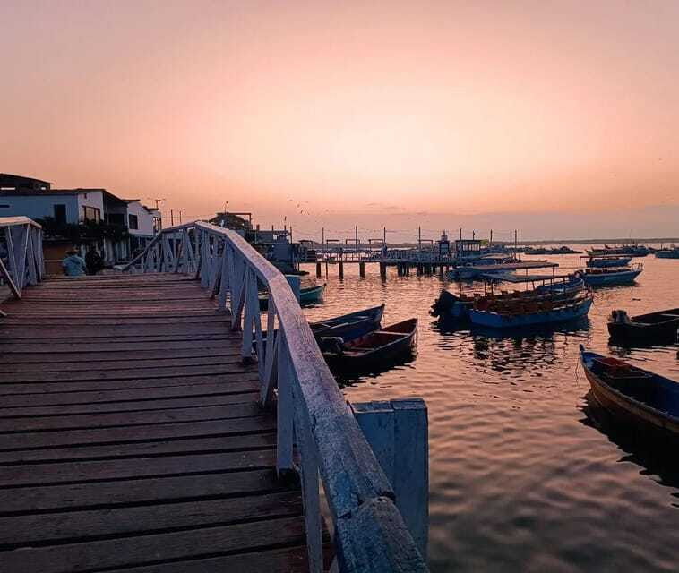 mangrove-mysteries-puerto-pizarro-tour-2