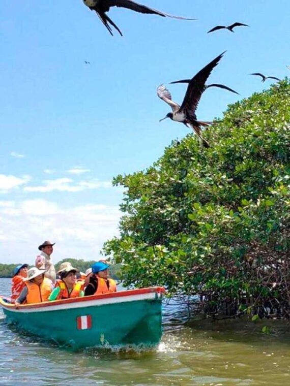 mangrove-mysteries-puerto-pizarro-tour-2