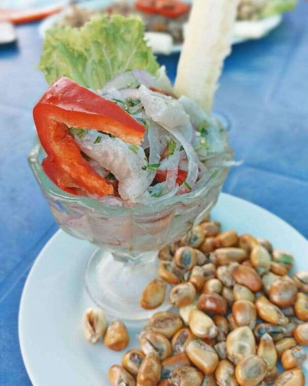 mangrove-mysteries-puerto-pizarro-tour-2