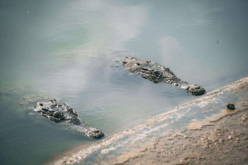 mangrove-mysteries-puerto-pizarro-tour