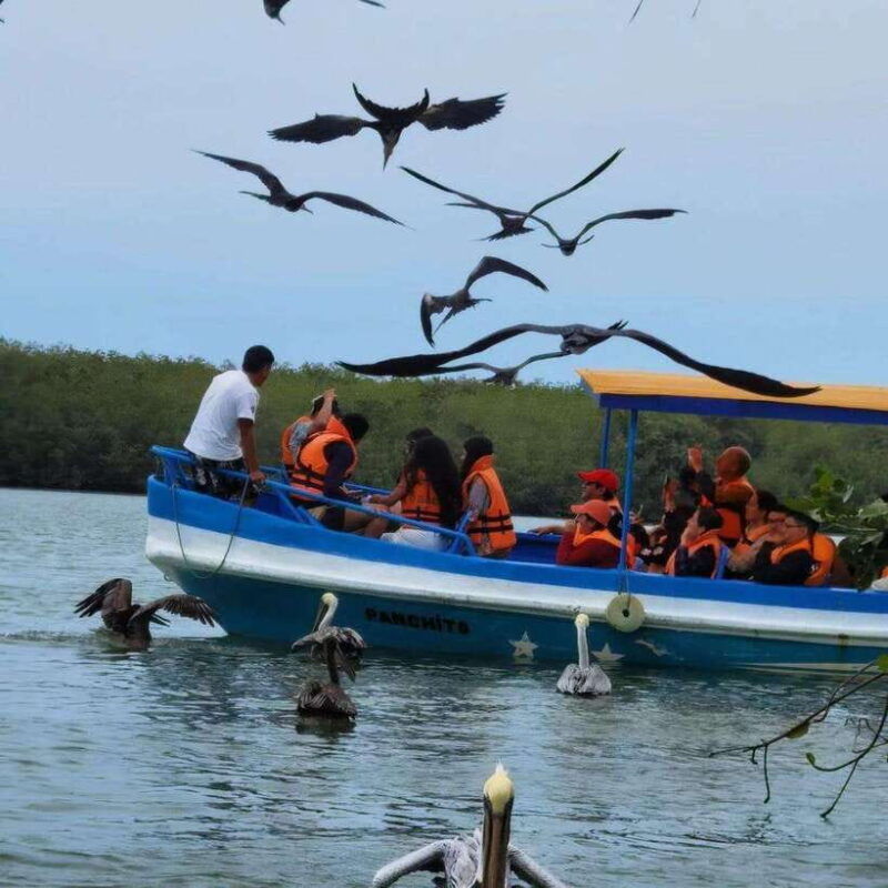 mangrove-mysteries-puerto-pizarro-tour
