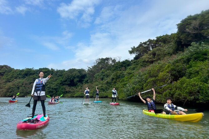 mangrove-sup-in-okinawa
