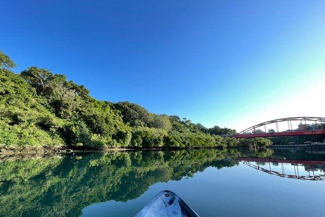 mangrove-sup-in-okinawa