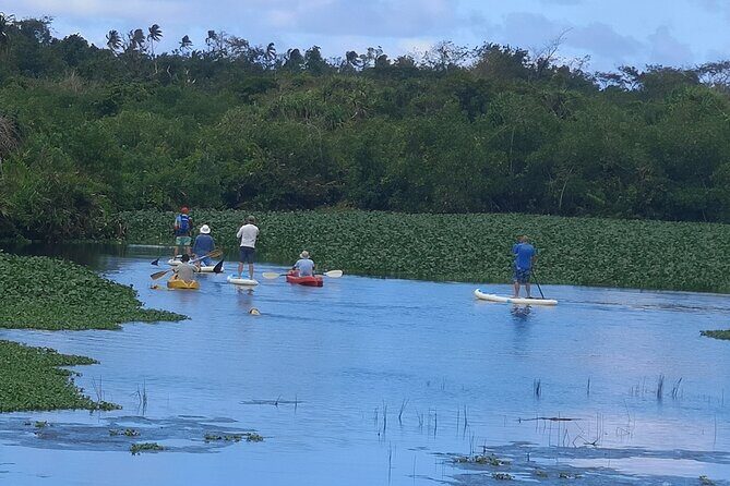 Mangrove to Lagoon Kayak and Paddleboard Adventure - Exploring the Mangrove to Lagoon Kayak and Paddleboard Adventure in Upolu, Samoa
