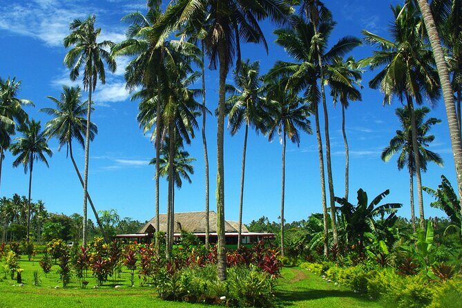 Mangrove to Lagoon Kayak and Paddleboard Adventure - Key Points