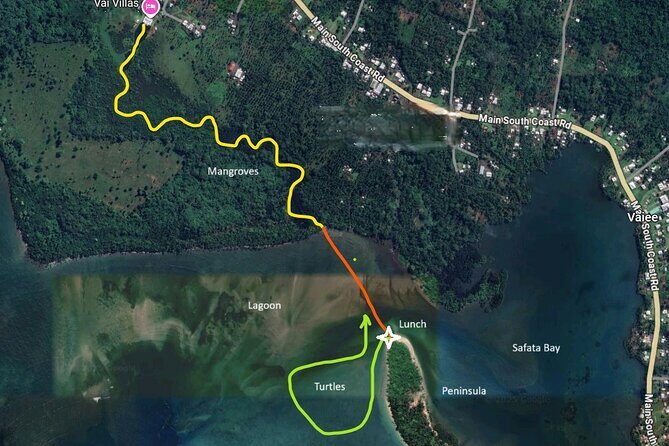 Mangrove to Lagoon Kayak and Paddleboard Adventure - Practical Details You Should Know