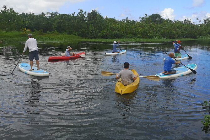 Mangrove to Lagoon Kayak and Paddleboard Adventure - Frequently Asked Questions