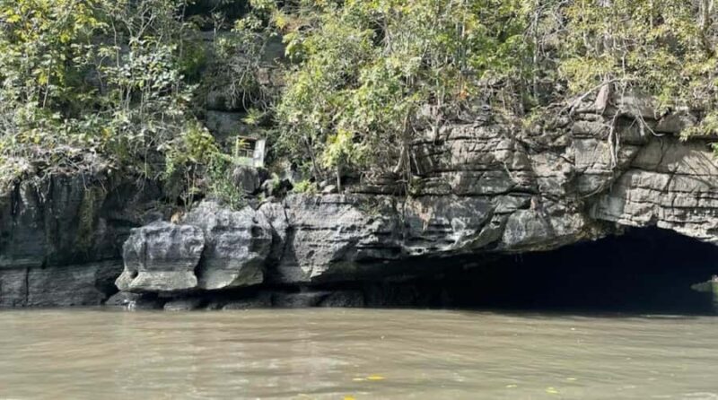 Mangrove Tour 3hour + Beach Swim + Free Lunch - What Makes This Tour Stand Out