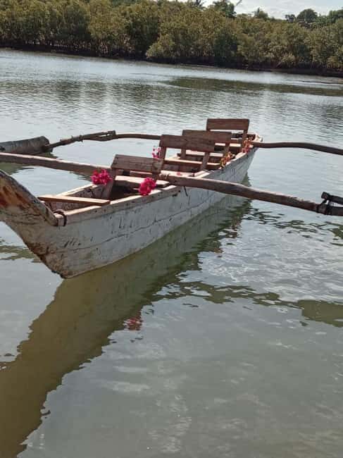 mangrove tour - Key Points
