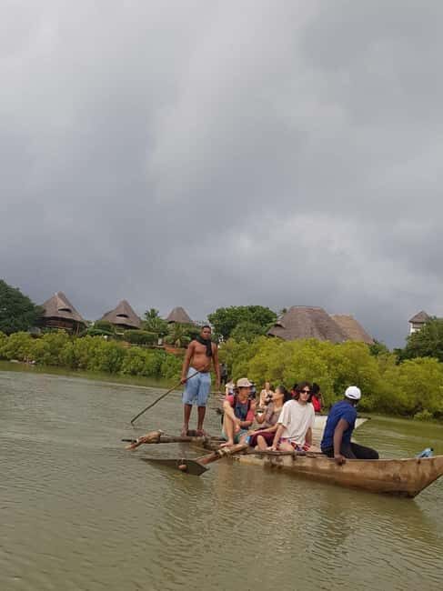 mangrove tour - The Itinerary: What to Expect