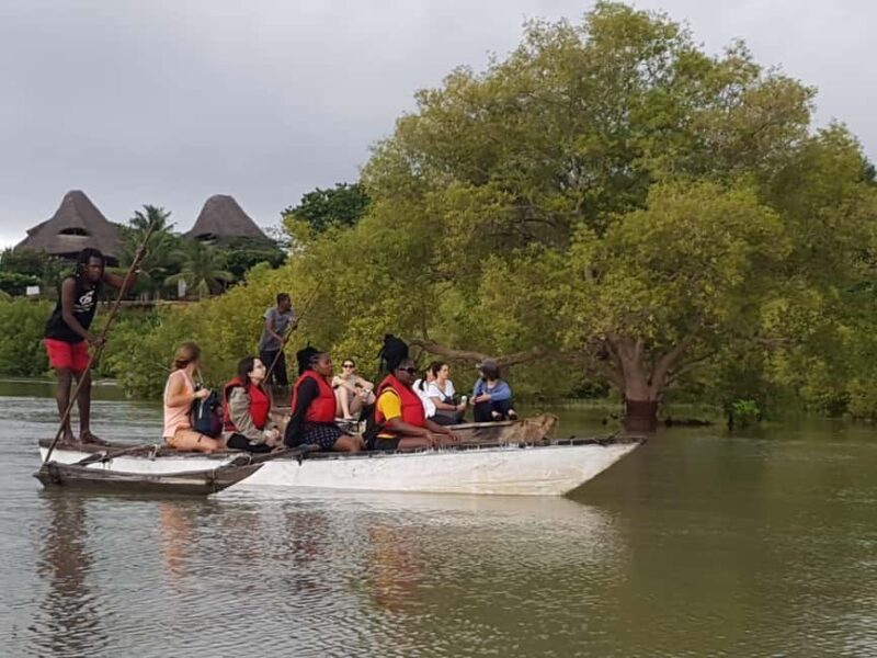 mangrove tour - The Experience: Real Insights from Travelers