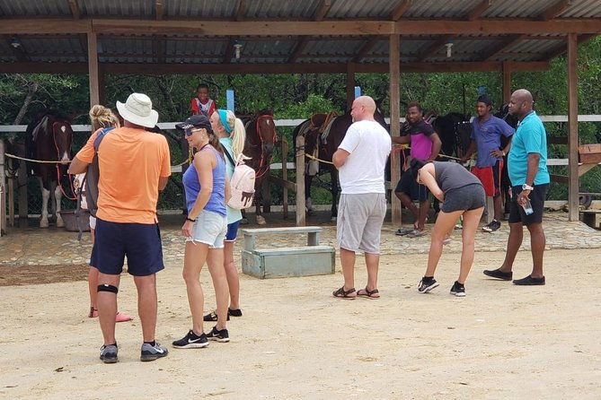 mangrove-tourhorseback-riding-snorkeling-and-beach-in-roatan