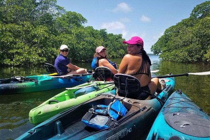 mangrove-tunnel-kayak-adventure-in-key-largo