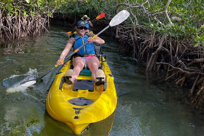 mangrove-tunnel-kayak-adventure-in-key-largo