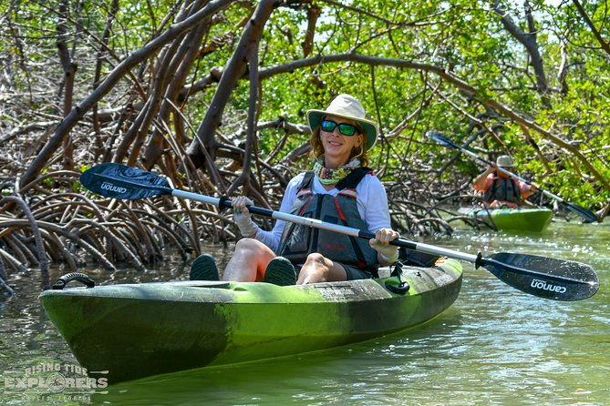 mangrove-tunnels-mudflats-kayak-tour-local-biologist-guides