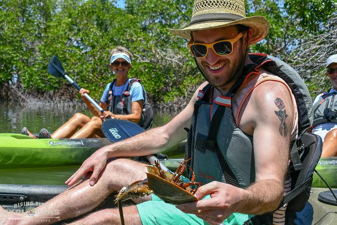 mangrove-tunnels-mudflats-kayak-tour-local-biologist-guides