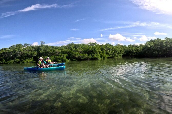 mangrove-tunnels-pedal-kayak-eco-tour-in-anna-maria-2