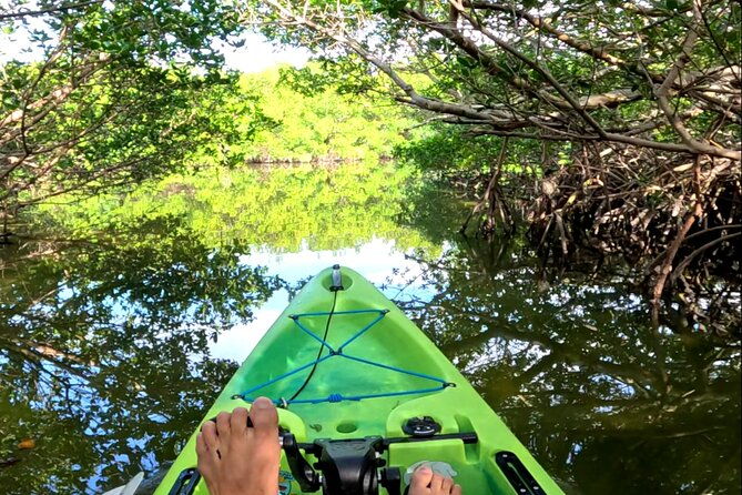 mangrove-tunnels-pedal-kayak-eco-tour-in-anna-maria