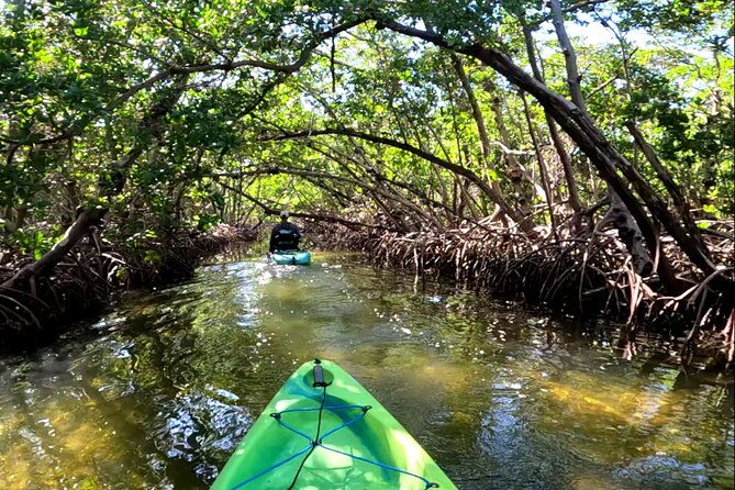 mangrove-tunnels-pedal-kayak-eco-tour-in-anna-maria