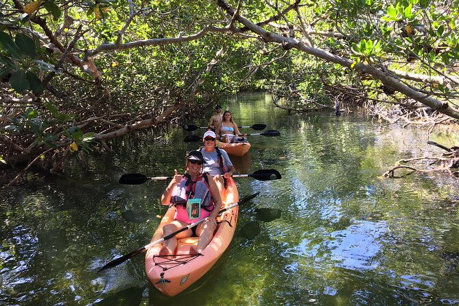 mangroves-and-manatees-guided-kayak-eco-tour