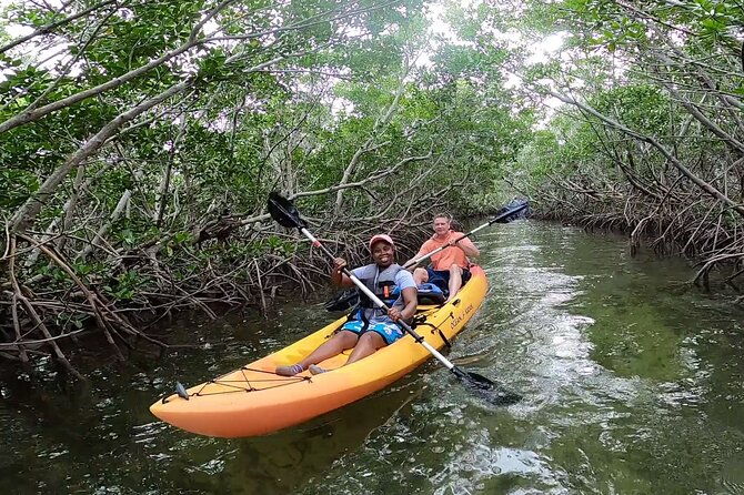 mangroves-and-manatees-guided-kayak-eco-tour