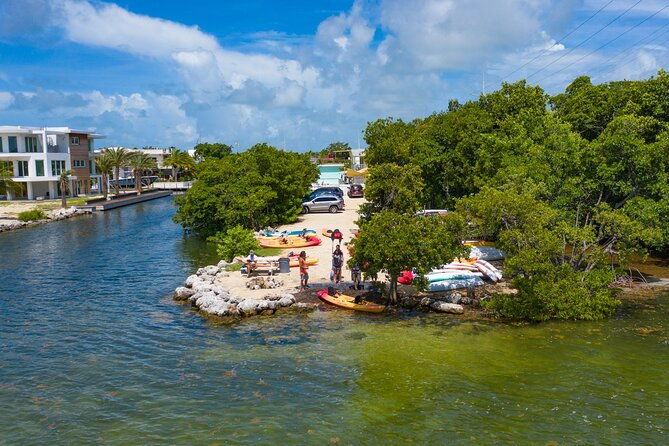 mangroves-and-manatees-guided-kayak-eco-tour