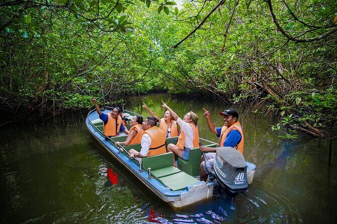 Mangroves of Madu Ganga Boat Tour (Private & All-Inclusive) - An In-Depth Look at the Mangroves of Madu Ganga Tour