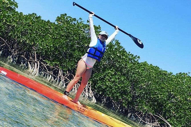 mangroves-stand-up-paddleboard-tour