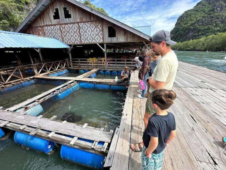 mangrovetour-888-in-langkawi-estimated-2-hours-private