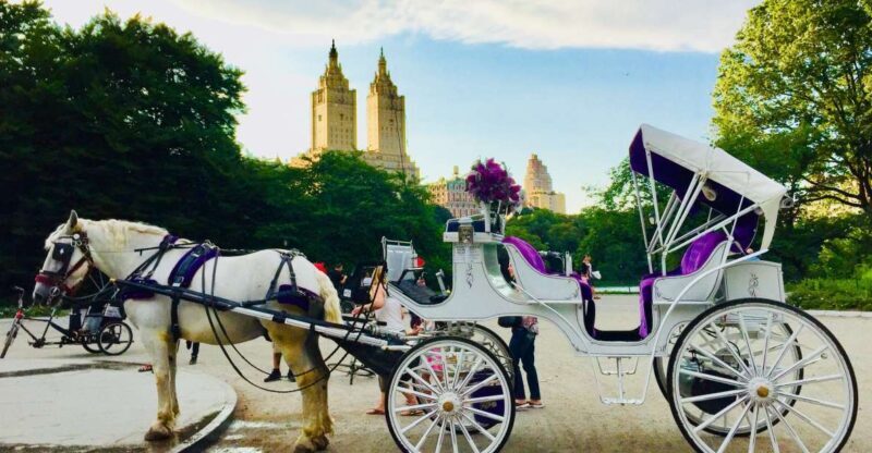 Manhattan: VIP Private Horse Carriage Ride in Central Park - The Overall Experience