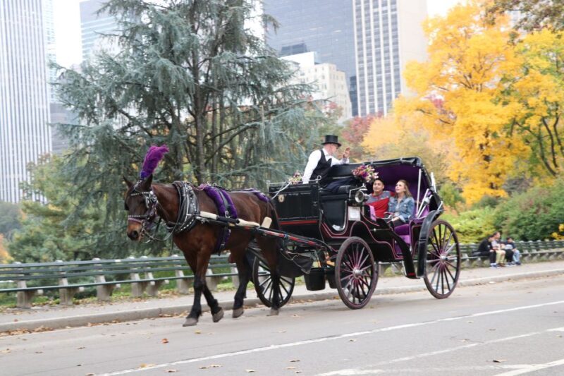 Manhattan: VIP Private Horse Carriage Ride in Central Park - Frequently Asked Questions