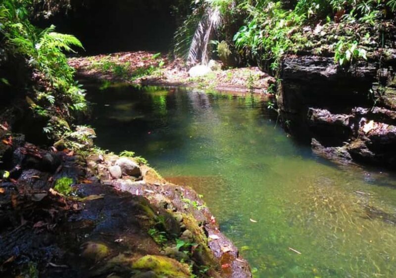 Manila: Hidden Valley Springs Day Tour with Lunch - Who Should Consider This Tour?