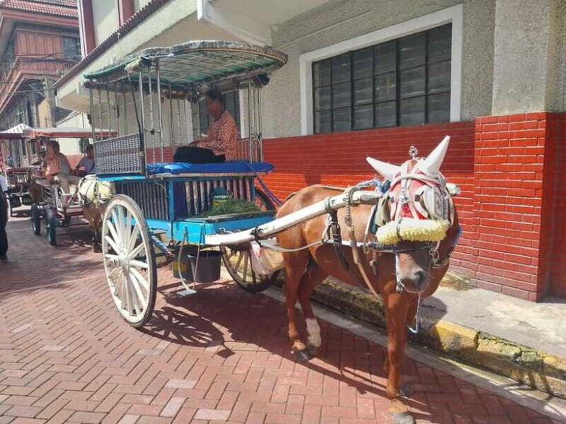 manila-intramuros-and-chinatown-food-tour-with-food-samples