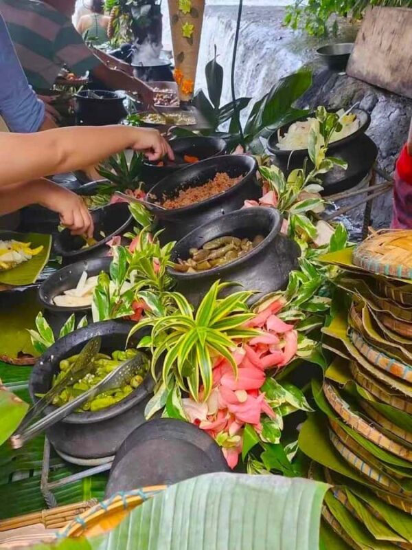 Manila: Villa Escudero Waterfalls w/Lunch & Private Car - What We Appreciated Most