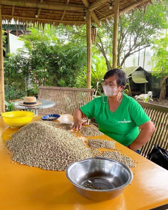 MANILA:Coffee Farm Tour with Coffee bean picking - FAQs