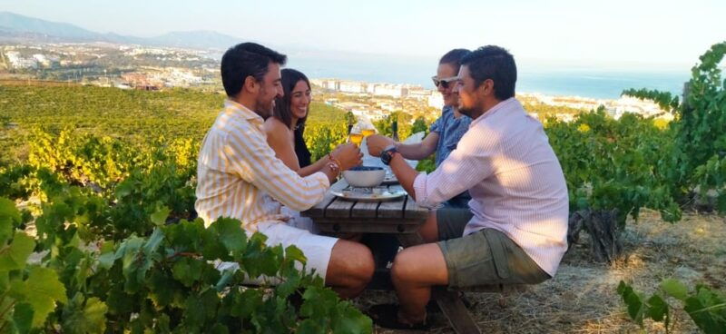 manilva-nilva-vineyard-wine-tasting-tapas-guided-tour