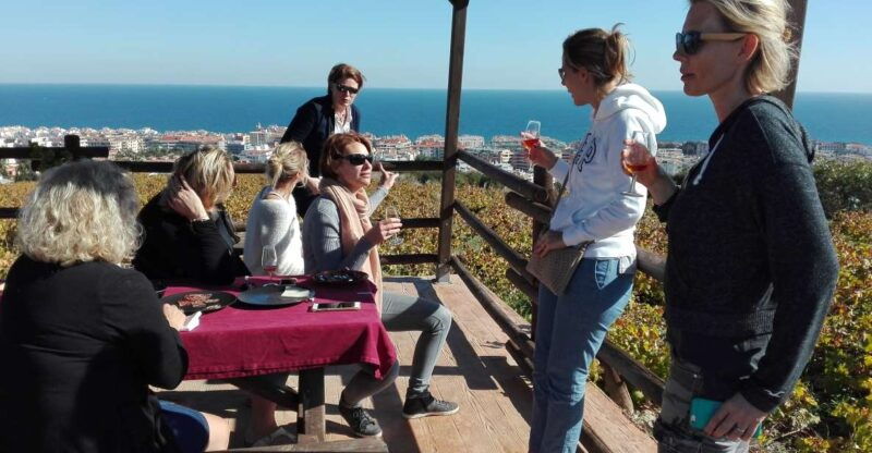 manilva-nilva-vineyard-wine-tasting-tapas-guided-tour