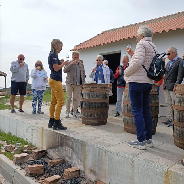 manilva-nilva-vineyard-wine-tasting-tapas-guided-tour