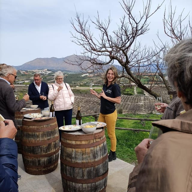 manilva-nilva-vineyard-wine-tasting-tapas-guided-tour
